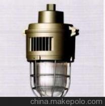 【供應(yīng)其他SBF-6003防水防塵防腐燈】?jī)r(jià)格,廠家,圖片,防爆燈,洪冠防爆電器-