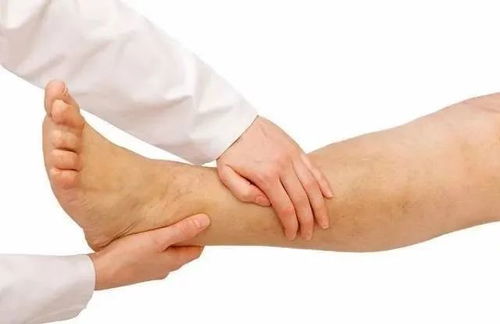 寧姐月嫂進社區，公益講座傳健康 唐山路社區經絡養生講座圓滿舉辦